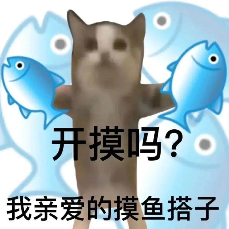 开摸吗？ 我亲爱的摸鱼搭子