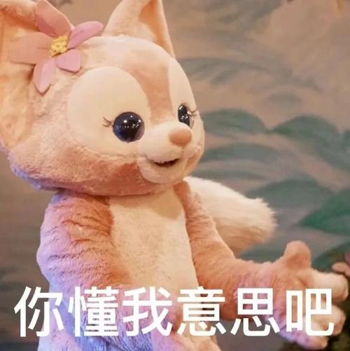你懂我意思吧