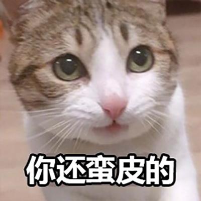 你还蛮皮的