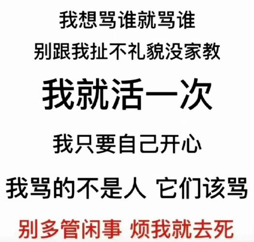 我想骂谁就骂谁 别跟我扯不礼貌没家教 我就活一次 我只要自己开心 我骂的不是人它们该骂 别多管闲事烦我就去死