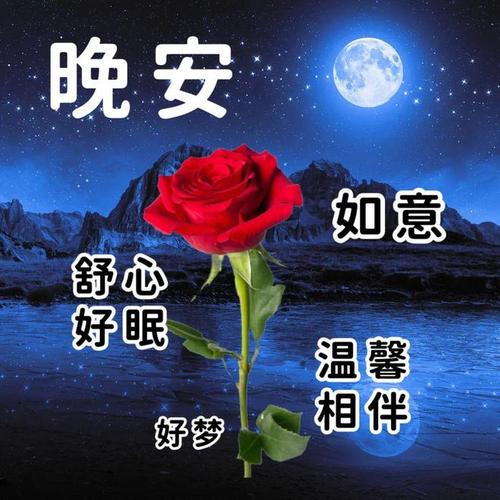 晚安 如意 心眠 舒好 藜伴 温相 好梦