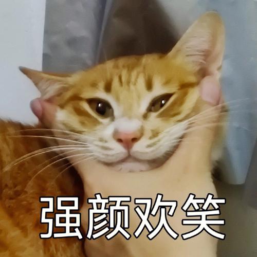 强颜欢笑