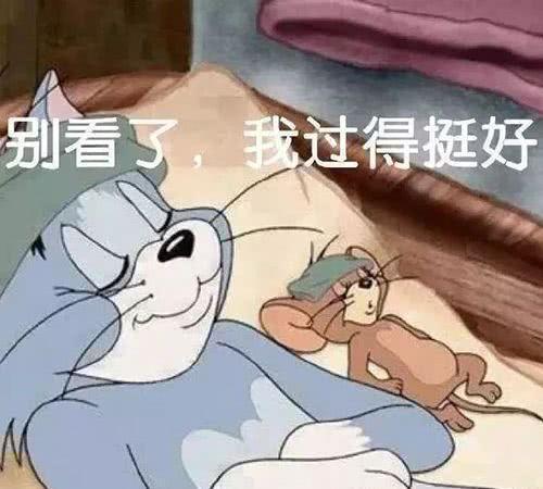别看了，我过得挺好