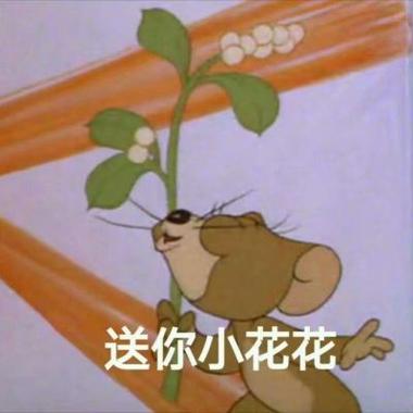送你小花花