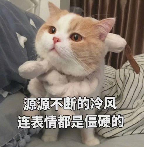 源源不断的冷风 连表情都是僵硬的