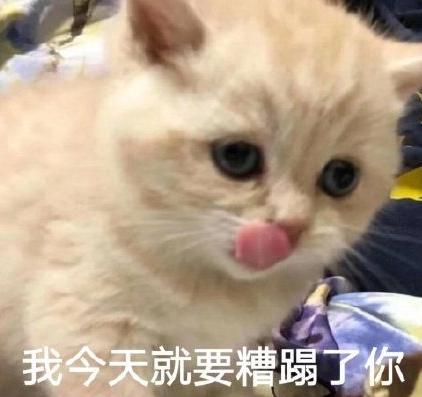 我今天就要糟蹋了你