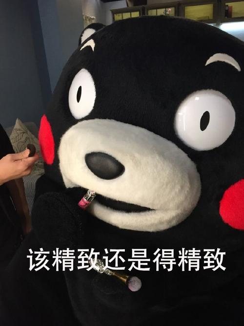 该精致还是得精致