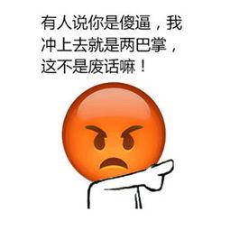 有人说你是傻逼，我 冲上去就是两巴掌， 这不是废话嘛！