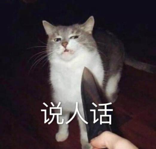 说人话