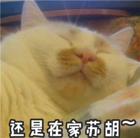 还是在家苏胡