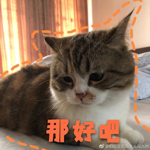 那好吧 @奶豆豆风风火火闯九州
