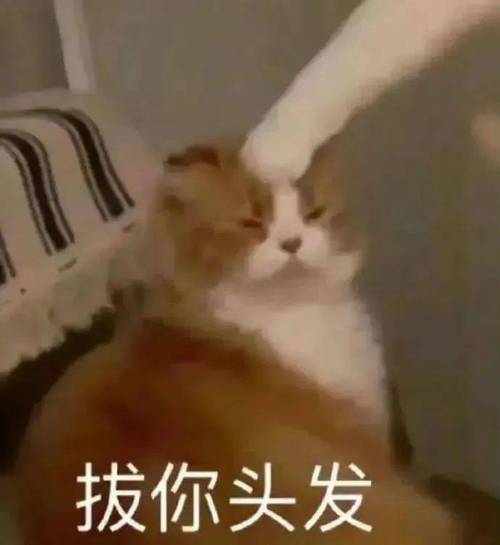 拔你头发