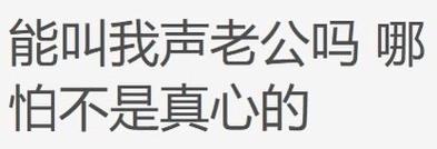 能叫我声老公吗哪 怕不是真心的