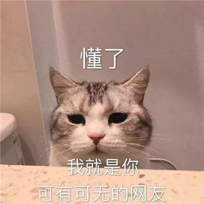 懂了 我就是你 可有可无的网友