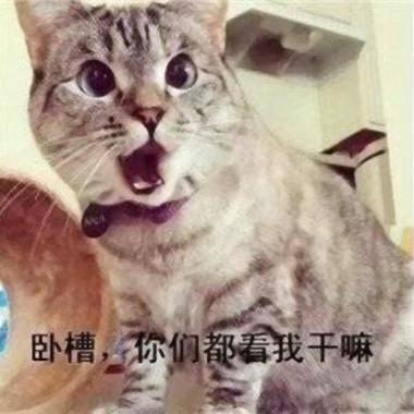 卧槽，你们都看我干嘛