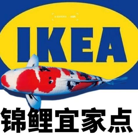 IKEA 锦鲤宜家点