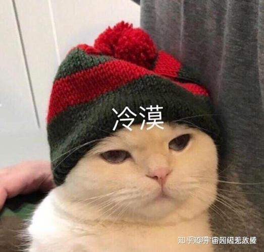 冷漠 知乎矢@弥由超级差教棒