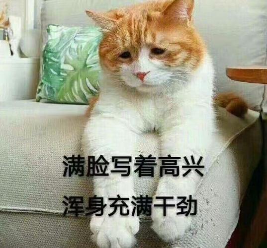 满脸写着高兴 浑身充满干劲