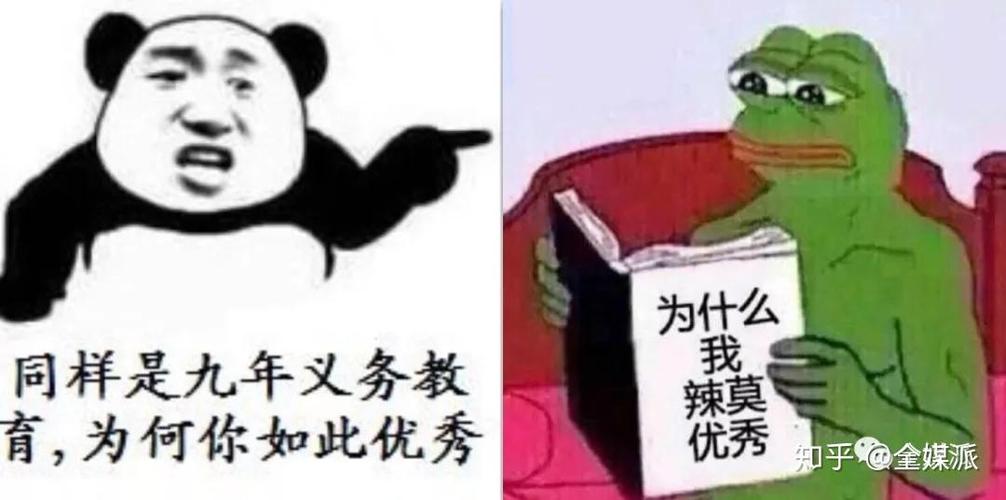为什么 我辣优秀 同样是九年义务教 育，为何你如此优秀 知乎@全媒派
