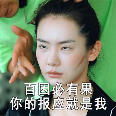 百因必有果 你的报应就是我