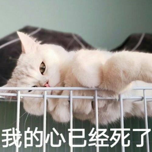 我的心已经死了