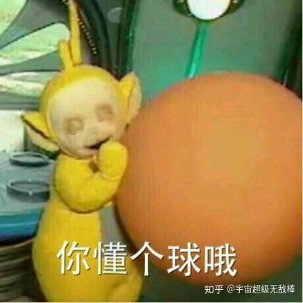 你懂个球哦 知乎@宇宙超级无敌棒