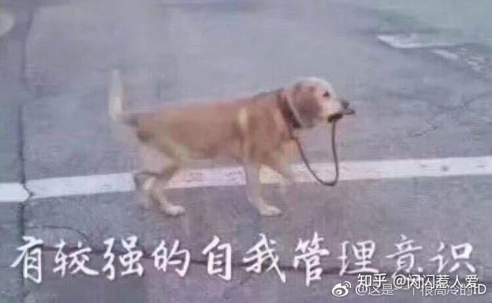 有较强的自我管理意识