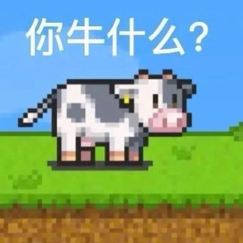 你牛什么？