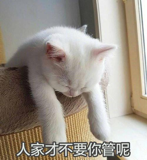 人家才不要你管呢