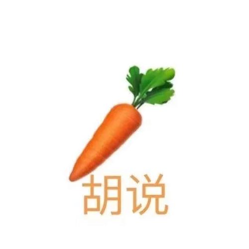 胡说