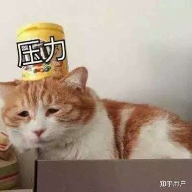 力 知乎用户