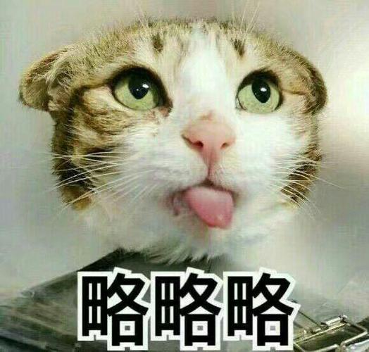 略略略