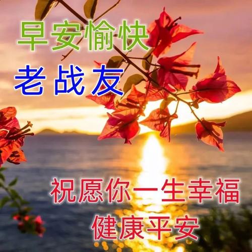 早安愉快 老战友 祝愿你一生幸福 健康平安