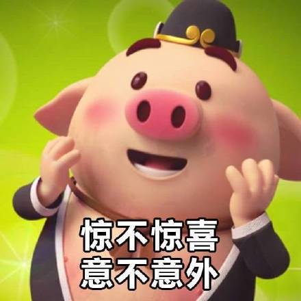 惊不惊喜 意不意外