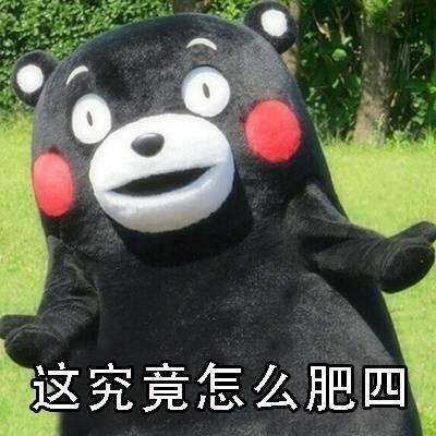 这究竟怎么肥四