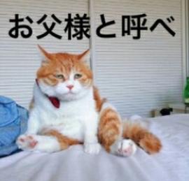书父樣上呼人