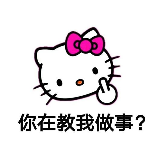 你在教我做事？