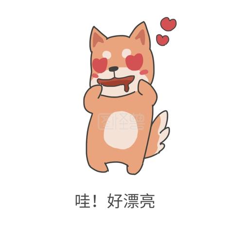 哇！好漂亮