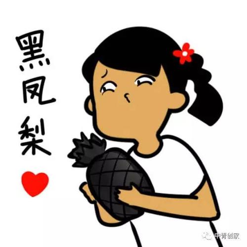 黑凤梨 中青创家