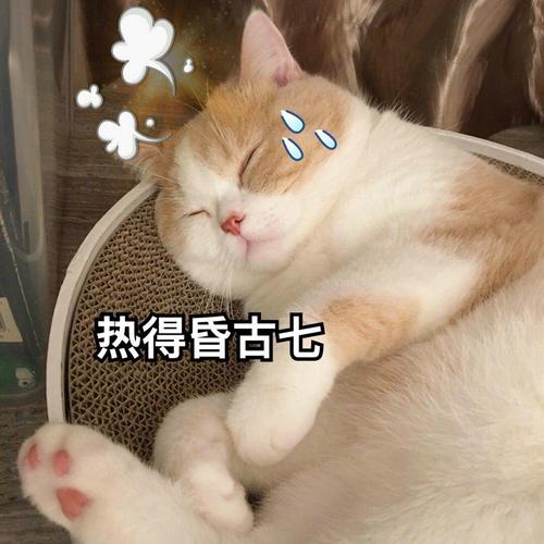 热得昏古七
