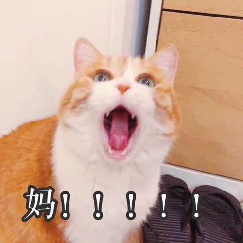 妈！！！