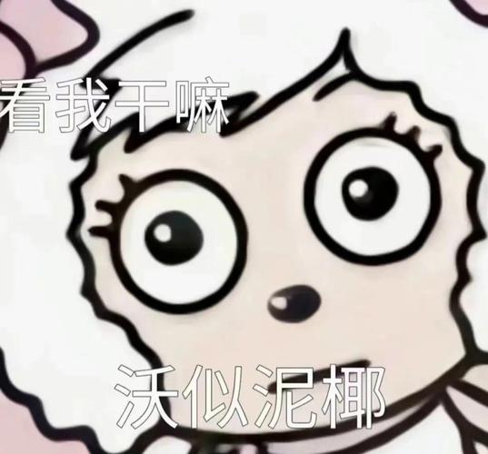 看我干 沃似泥椰