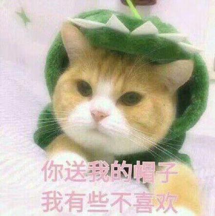 你送我的帽子 我有些不喜欢