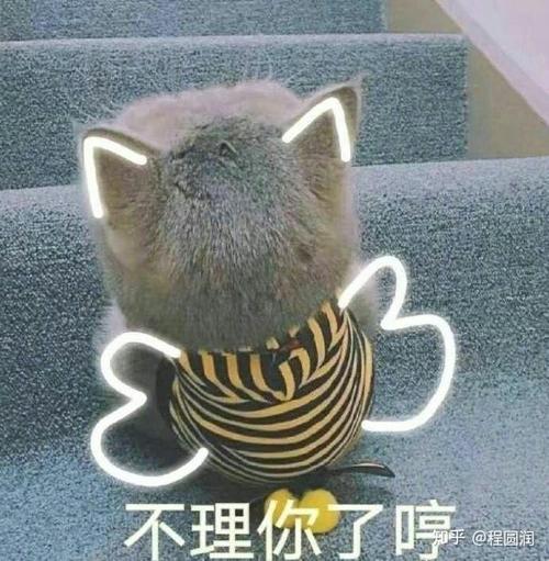 不理你了哼 @程圆润