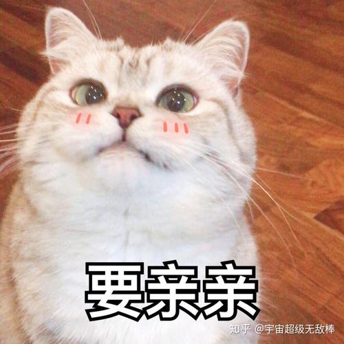 要亲亲 知乎@宇宙超级无敌棒