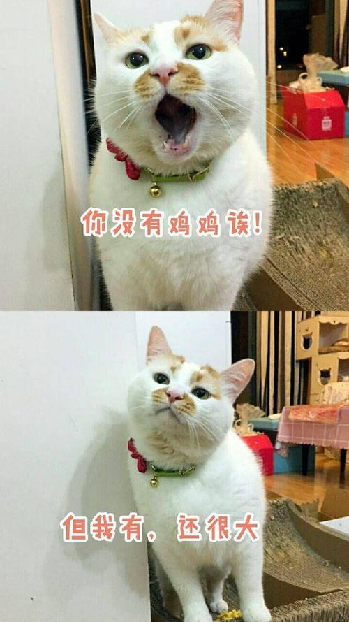 你没有鸡鸡送！ 但我有，还很大