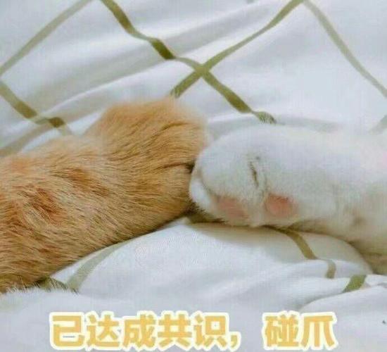 已达成共识，碰爪