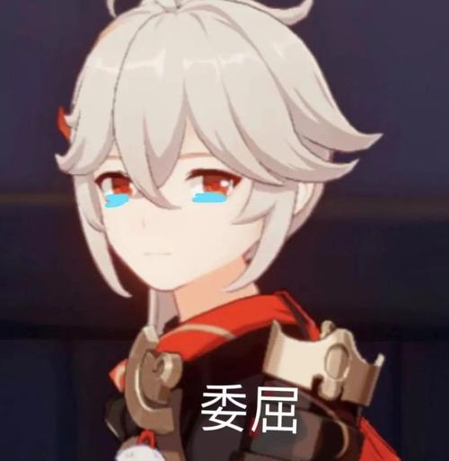 委 屈