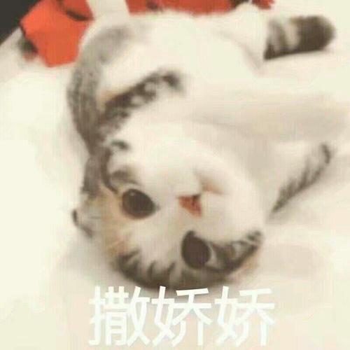 撒娇娇