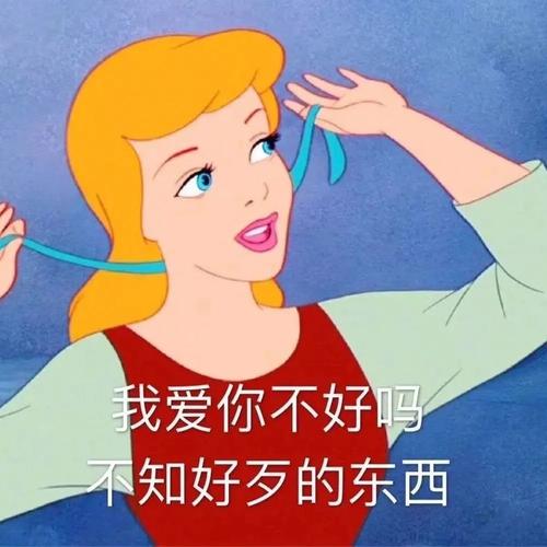 我爱你不好吗 不知好歹的东西